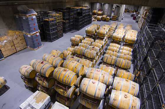 LYNUS, VIÑEDOS Y BODEGAS - photo 9