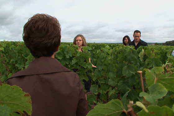 Domaine du Vieil Orme - photo 9