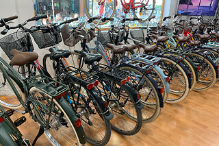 Un tour en bicicleta para 2 en Tourpoint en Valencia