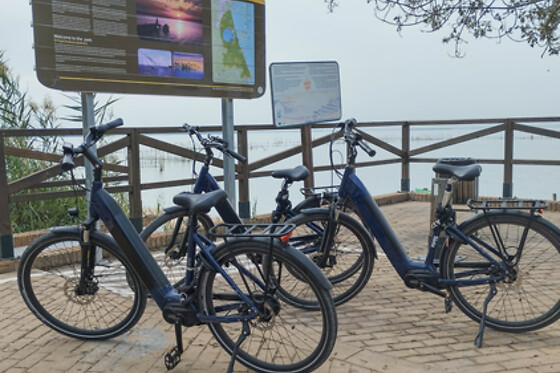 Un tour en bicicleta para 2 en Tourpoint en Valencia