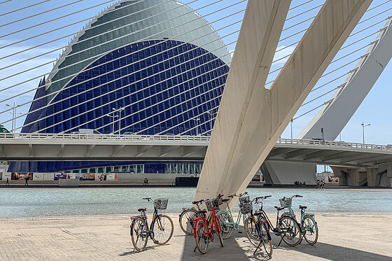 Un tour en bicicleta para 2 en Tourpoint en Valencia