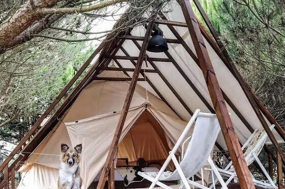 Kabaceira Apartments & Glamping - photo 17