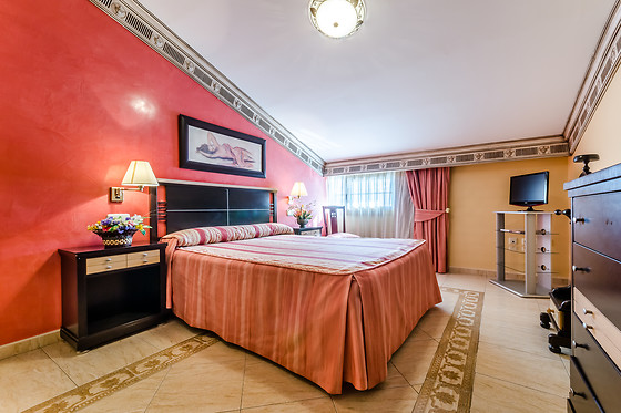 HOTEL CARLOS I TOLEDO - photo 6