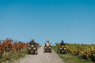 Una ruta en quad doble para 2 en Grape Aventura en Haro (La Rioja)