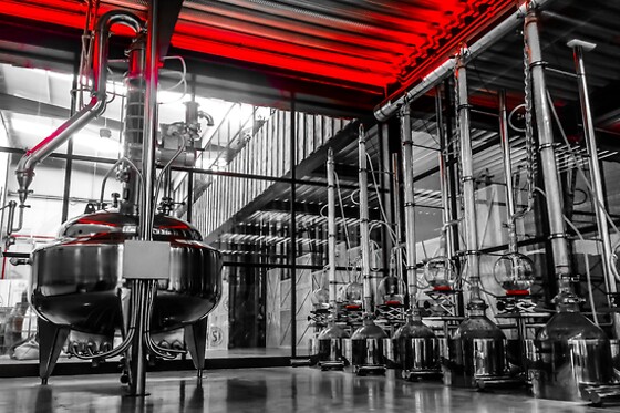 LA GIN DEL CANTABRICO SIDERIT - photo 9