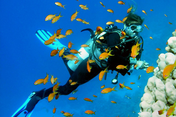 Una inmersión de buceo nocturno para 2 en Sotacero Diving en El Masnou (Barcelona)