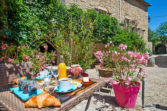 Domaine d'Alcapiès - photo 7