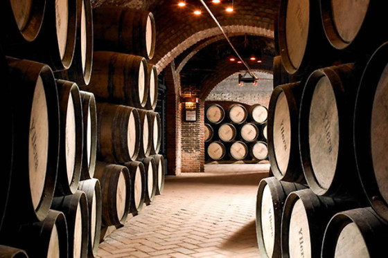 CURSO CATA DEL VINO - photo 1