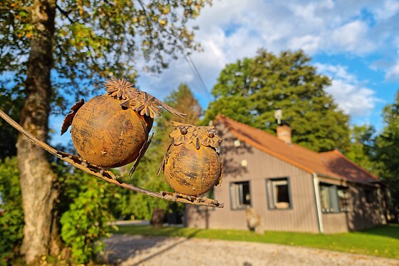 Domaine de Wail - photo 4