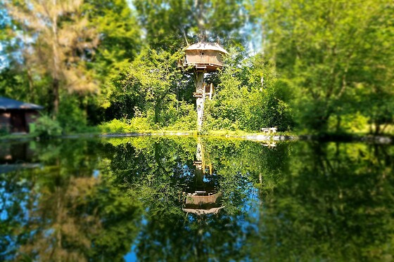 Domaine de Wail - photo 28