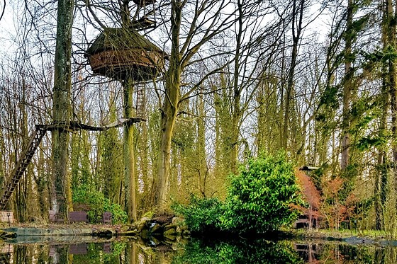 Domaine de Wail - photo 33