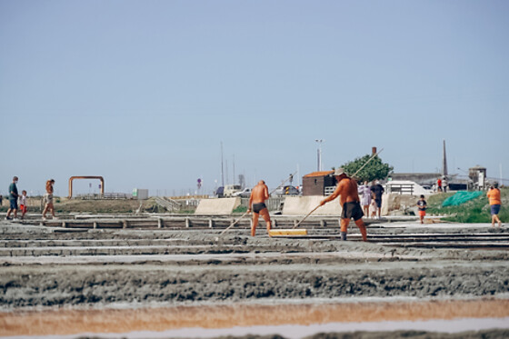 Aveiro com Paixão - photo 6
