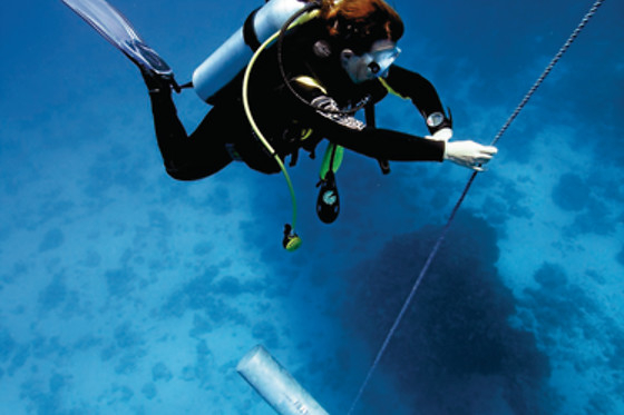 SCUBA PLUS - photo 14