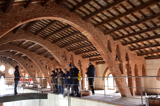 Una visita con cata para 2 en Adernats Vinícola de Nulles en Nulles (Tarragona)