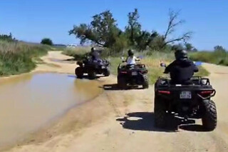 Una ruta en buggy para 1 o 2 personas en Freedom Rent Marbella en Marbella (Málaga)