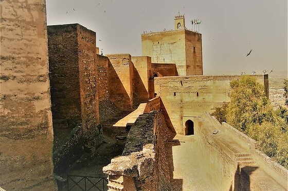 Visita guiada completa a la Alhambra para 1 persona