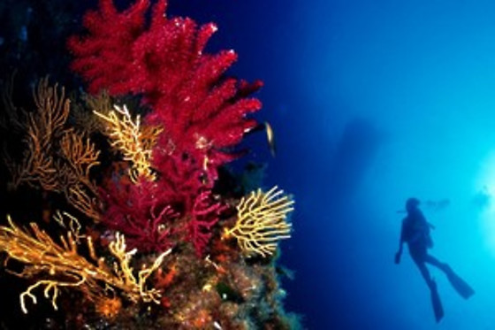Aquatic Rando - photo 20