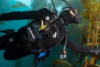 Un bautizo de buceo en mar para 2 en Freeandivers en Sant Adrià de Besòs (Barcelona)