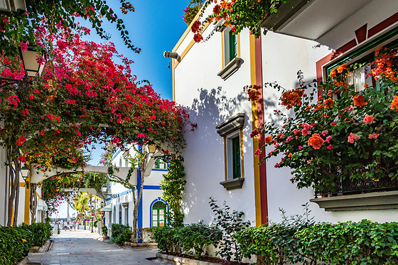 Noche gourmet en rincones únicos