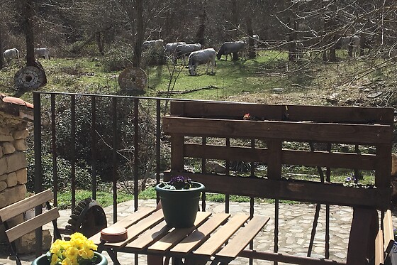Dos noches con desayunos para 2 en Casa Rural Garduña El Molino de Bretún en Bretún (Soria)
