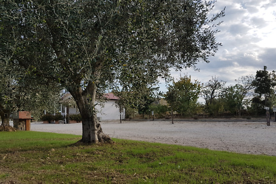 Agriturismo Macchia di Riso - photo 13