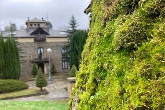 AHIO SAN MARTIN - photo 10