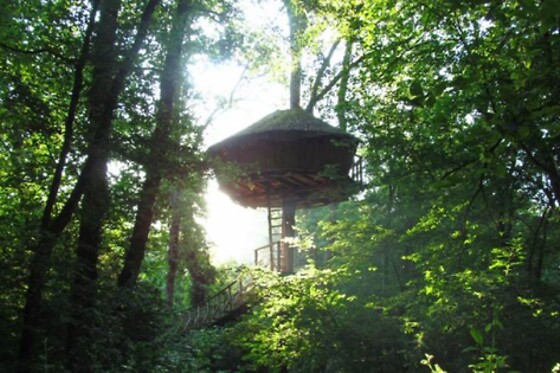 Defiplanet - photo 6