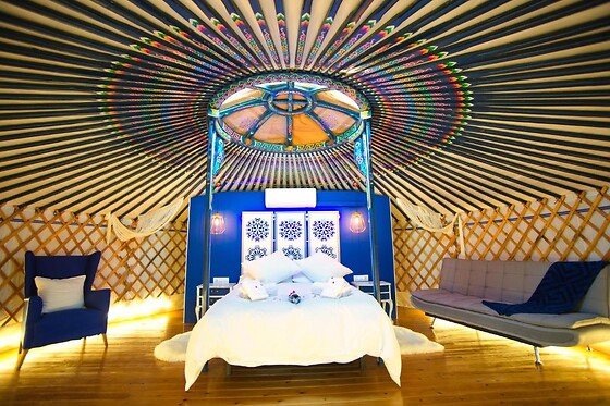 EL JARDÍN DE LAS DELIZIAS - photo 9