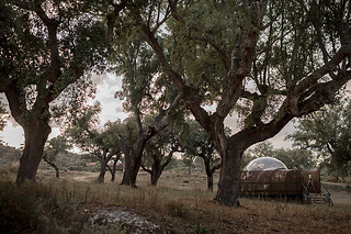 Una noche en burbuja para 2 en Finca El Cortiñal en Valencia de Alcántara ( Cáceres)