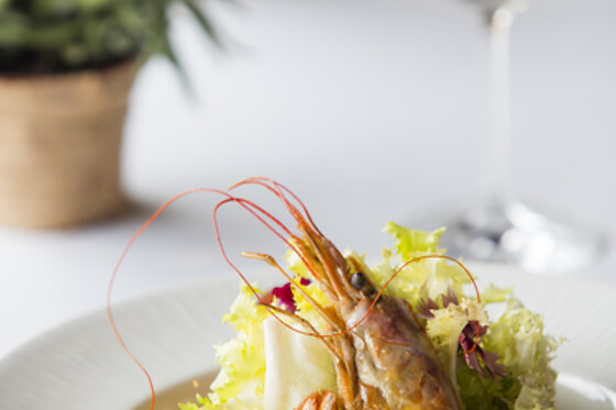 ACTA ARTHOTEL Q 4* - photo 21