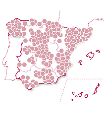 Tapas y vinos