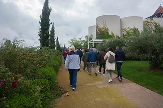 Una actividad Corral Experience para 1 en Bodegas Corral en Navarrete (La Rioja)