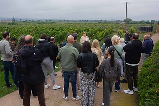 Una actividad Corral Experience para 1 en Bodegas Corral en Navarrete (La Rioja)