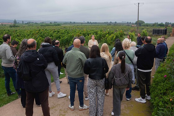 Una actividad Corral Experience para 1 en Bodegas Corral en Navarrete (La Rioja)