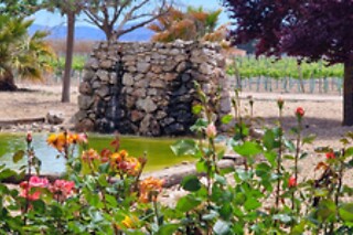 Una visita guiada a la bodega con degustación y cata para 2 en Bodegas Santa Margarita en Caudete (Albacete)