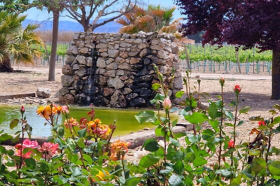 Una visita guiada a la bodega con degustación y cata para 2 en Bodegas Santa Margarita en Caudete (Albacete)