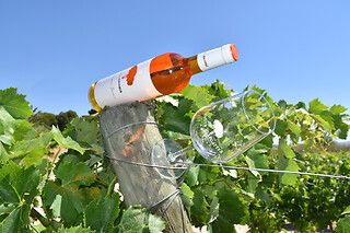 Una visita guiada a la bodega con degustación y cata para 2 en Bodegas Santa Margarita en Caudete (Albacete)