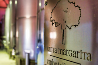 Una visita guiada a la bodega con degustación y cata para 2 en Bodegas Santa Margarita en Caudete (Albacete)