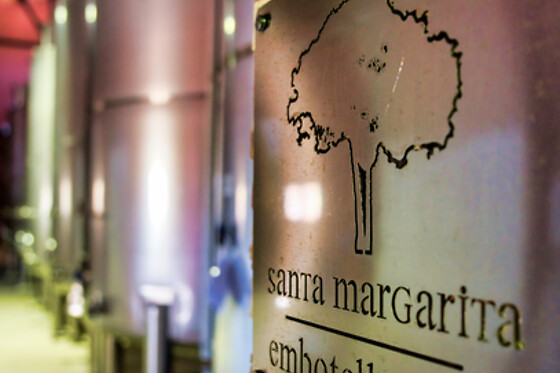 Una visita guiada a la bodega con degustación y cata para 2 en Bodegas Santa Margarita en Caudete (Albacete)