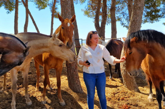 Una visita guiada a la bodega con degustación y cata para 2 en Bodegas Santa Margarita en Caudete (Albacete)
