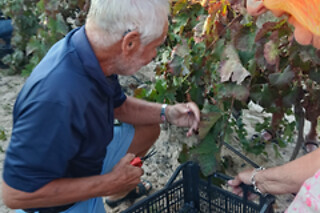 Una visita guiada a la bodega con degustación y cata para 2 en Bodegas Santa Margarita en Caudete (Albacete)
