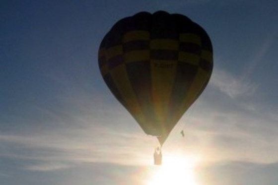 BALLOONING - photo 3