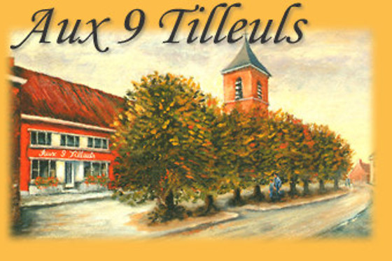 Restaurant Aux 9 Tilleuls - photo 12