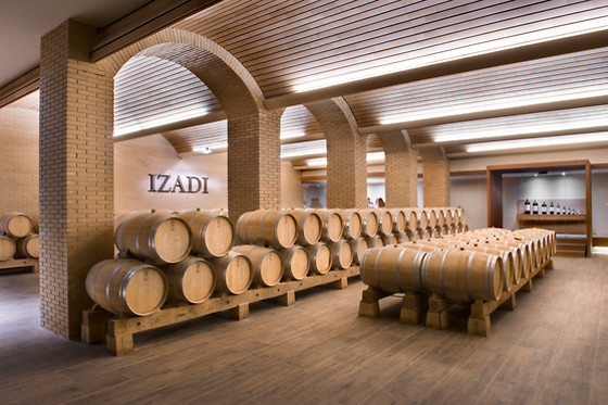 Bodega Izadi en Villabuena de Álava (Álava)