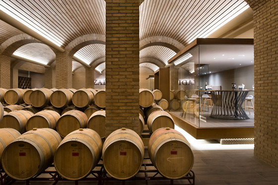 Bodega Izadi en Villabuena de Álava (Álava)