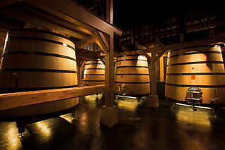 Bodega Izadi en Villabuena de Álava (Álava)