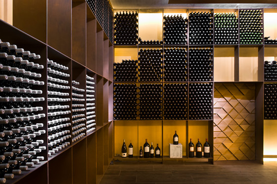 Bodega Izadi en Villabuena de Álava (Álava)