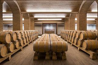 Bodega Izadi en Villabuena de Álava (Álava)
