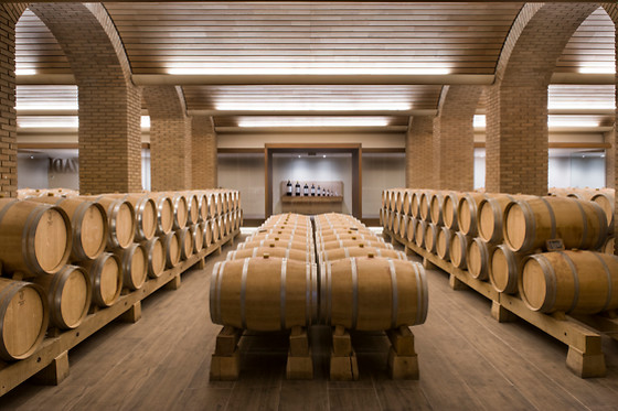 Bodega Izadi en Villabuena de Álava (Álava)