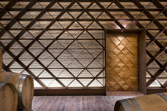 Bodega Izadi en Villabuena de Álava (Álava)